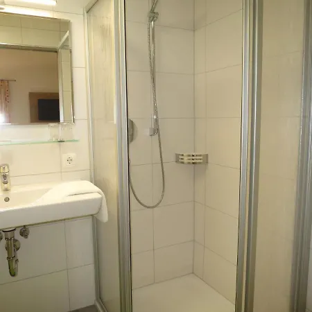 Apartment Hof Am Schoenbach - Sta160 By Interhome